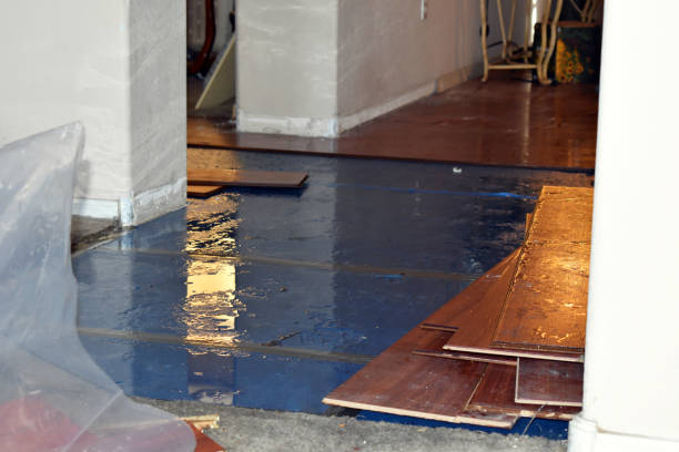 Professional Flood Cleanup technician working in Palo, MI